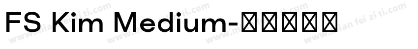 FS Kim Medium字体转换